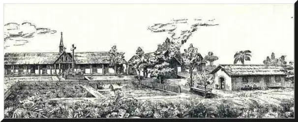 Our History 1901